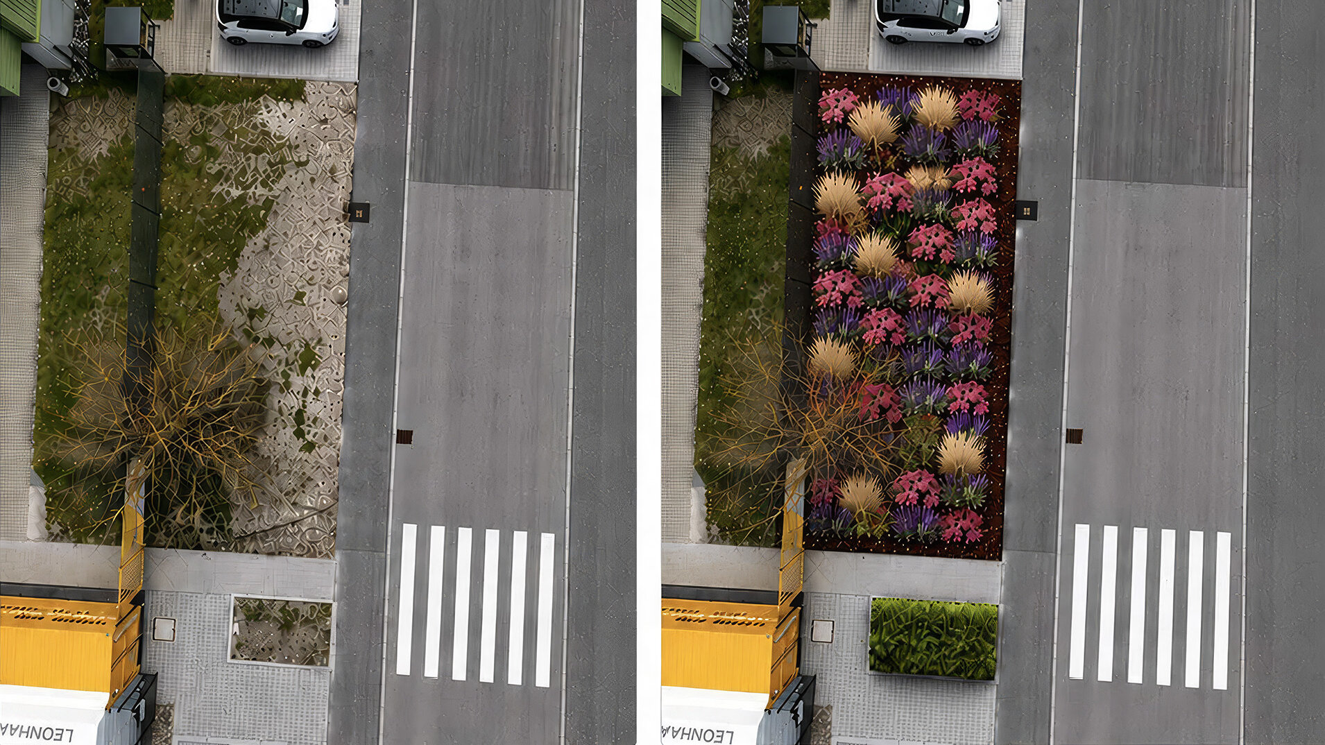 Vorher Nachher Bild mit Blumen und Pflanzen.