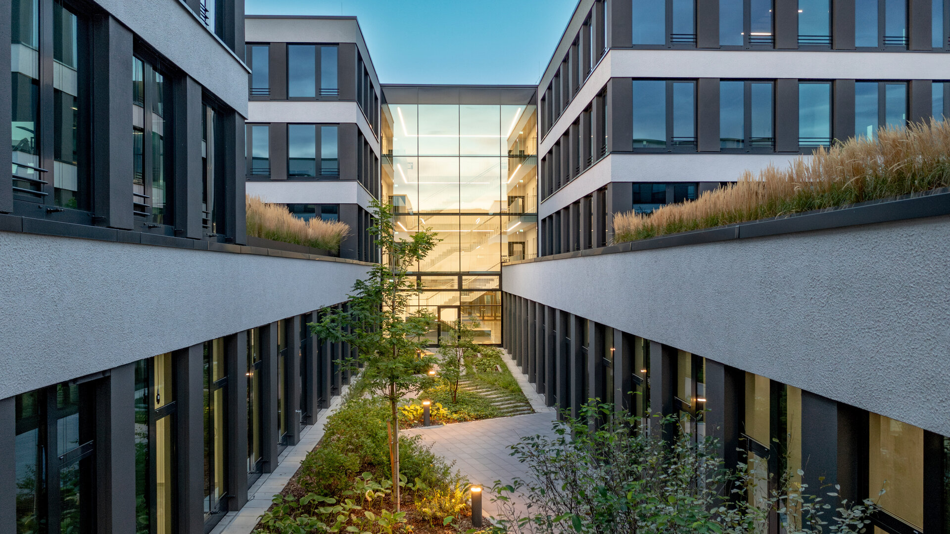  modern courtyard between two buildings, surrounded by plants and with a clear view of the glass façade in the background.