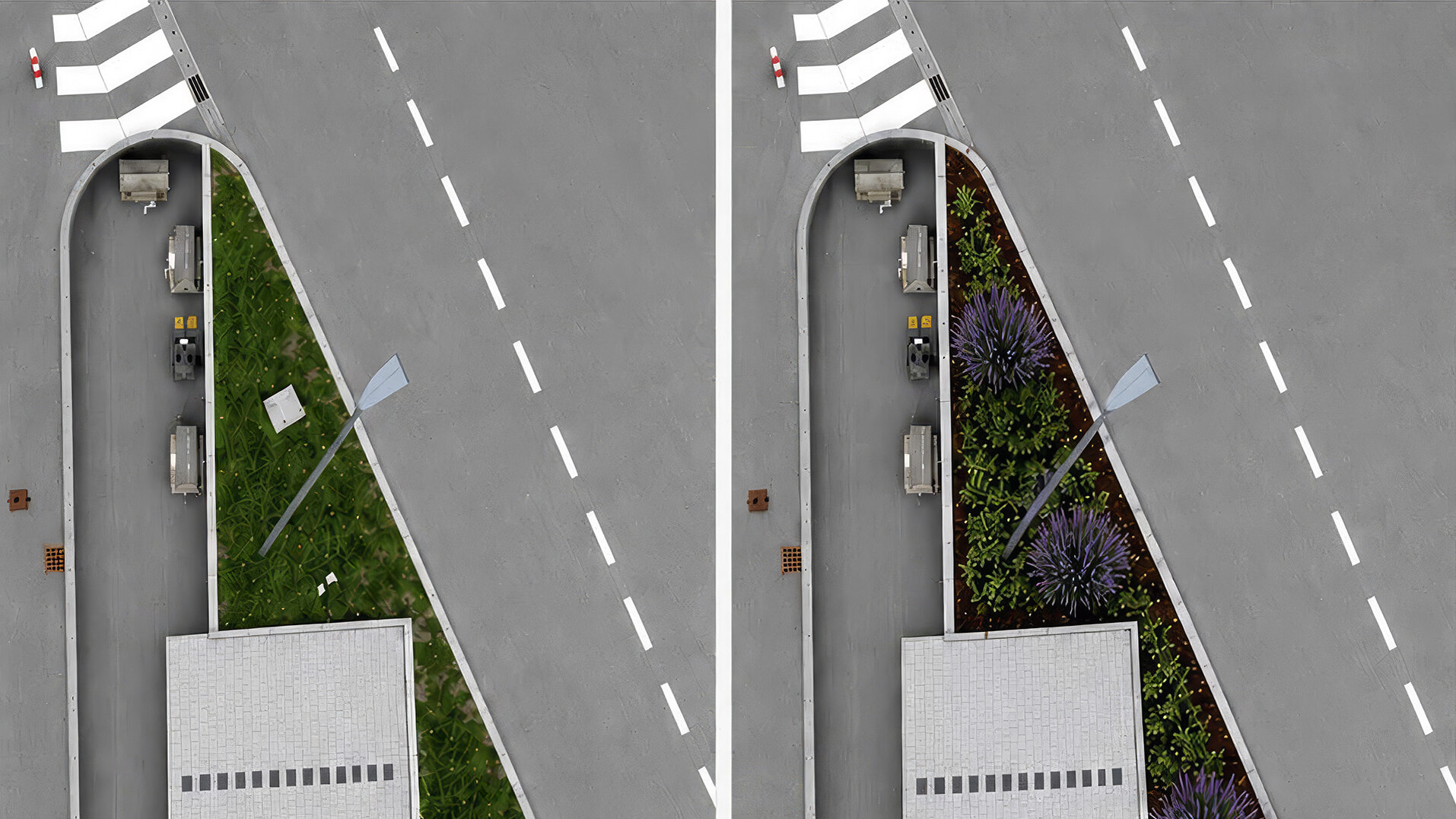 Vorher Nachher Bild mit Blumen und Pflanzen.